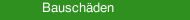 Bausch&auml;den 