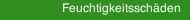 Feuchtigkeitssch&auml;den